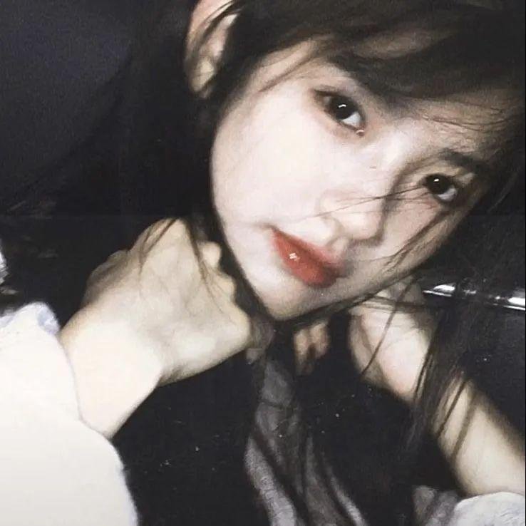 蒂科与鲨鱼